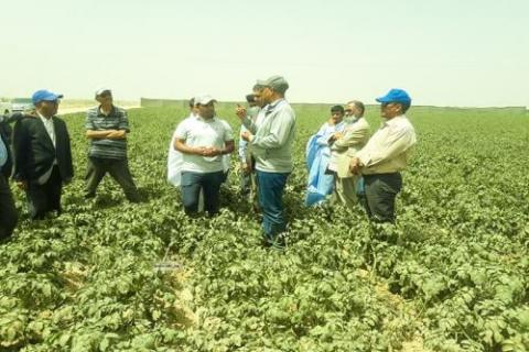 صورة وزير الزراعة يدعو المستثمرين لا ستغلال المقدرات الزراعية بآفطوط الساحلي -AA+A