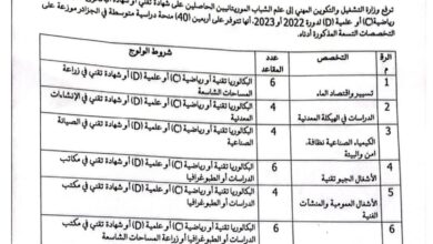 صورة وزارة التشغيل تعلن عن 40 منحة إلى الحزائر لصالح الشباب الموريتانيين