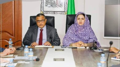 صورة وزيرة التشغيل تلتقي بعثـة من البنك الألماني للتنمية