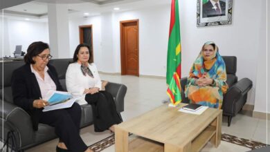 صورة وزيرة التشغيل تلتقي السفيرة الإسبانية لدى موريتانيا